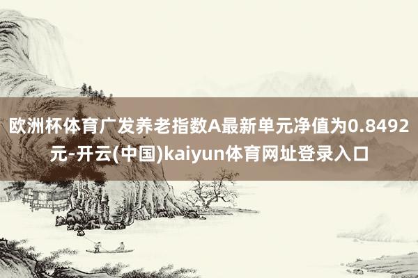 欧洲杯体育广发养老指数A最新单元净值为0.8492元-开云(中国)kaiyun体育网址登录入口
