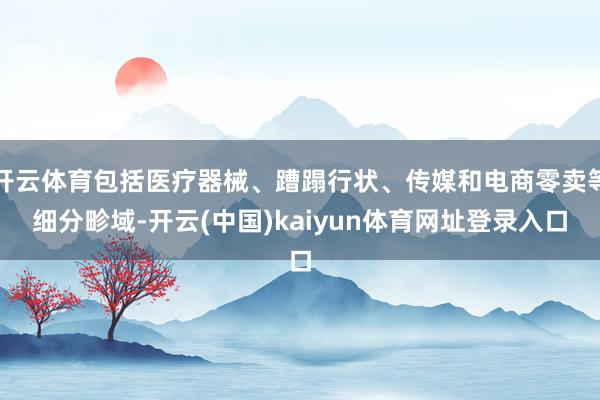 开云体育包括医疗器械、蹧蹋行状、传媒和电商零卖等细分畛域-开云(中国)kaiyun体育网址登录入口