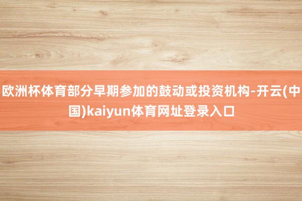 欧洲杯体育部分早期参加的鼓动或投资机构-开云(中国)kaiyun体育网址登录入口