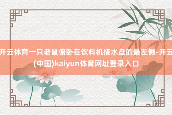开云体育一只老鼠俯卧在饮料机接水盘的最左侧-开云(中国)kaiyun体育网址登录入口