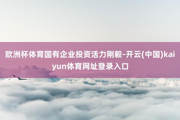 欧洲杯体育国有企业投资活力刚毅-开云(中国)kaiyun体育网址登录入口