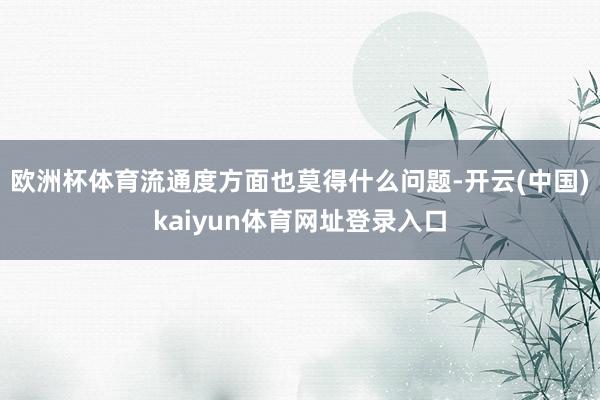 欧洲杯体育流通度方面也莫得什么问题-开云(中国)kaiyun体育网址登录入口