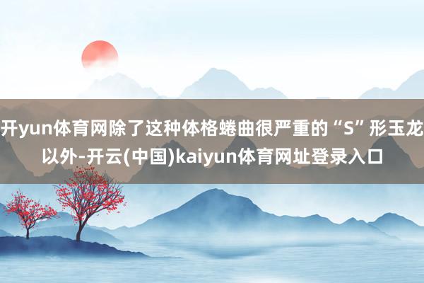 开yun体育网除了这种体格蜷曲很严重的“S”形玉龙以外-开云(中国)kaiyun体育网址登录入口
