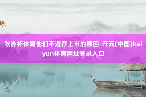 欧洲杯体育他们不遴荐上市的原因-开云(中国)kaiyun体育网址登录入口