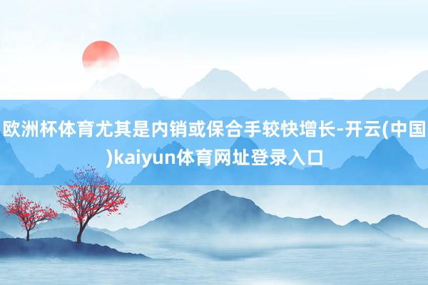 欧洲杯体育尤其是内销或保合手较快增长-开云(中国)kaiyun体育网址登录入口